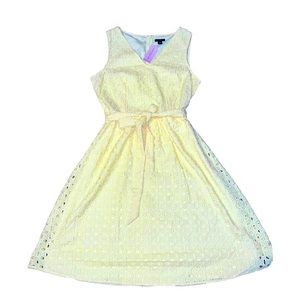 Ann Taylor Petite Women Yellow Eyelet Midi Dress Size 8 New With Tags